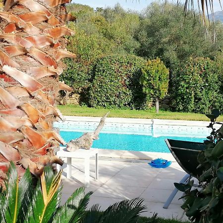 Studio 5Min Plage Agosta Albitreccia エクステリア 写真